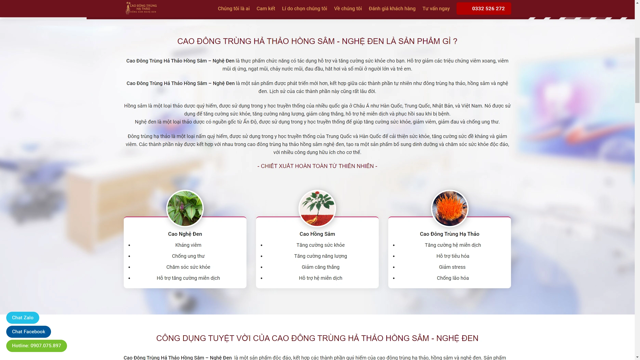 Mẫu Website Cao Đông Trùng Hạ Thảo Chuẩn Seo - ảnh 5
