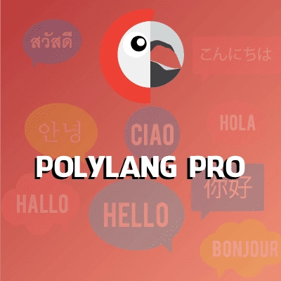 Polylang Pro | Plugin tạo website đa ngôn ngữ