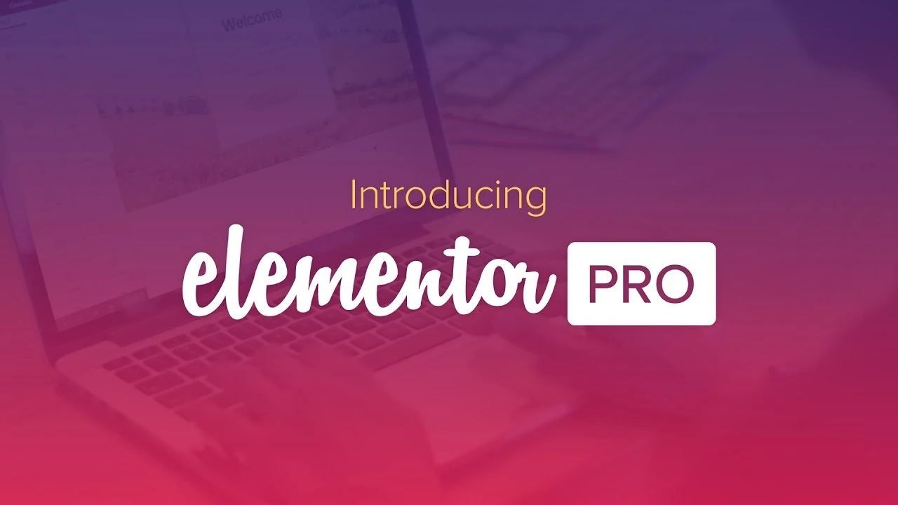 Elemetor pro