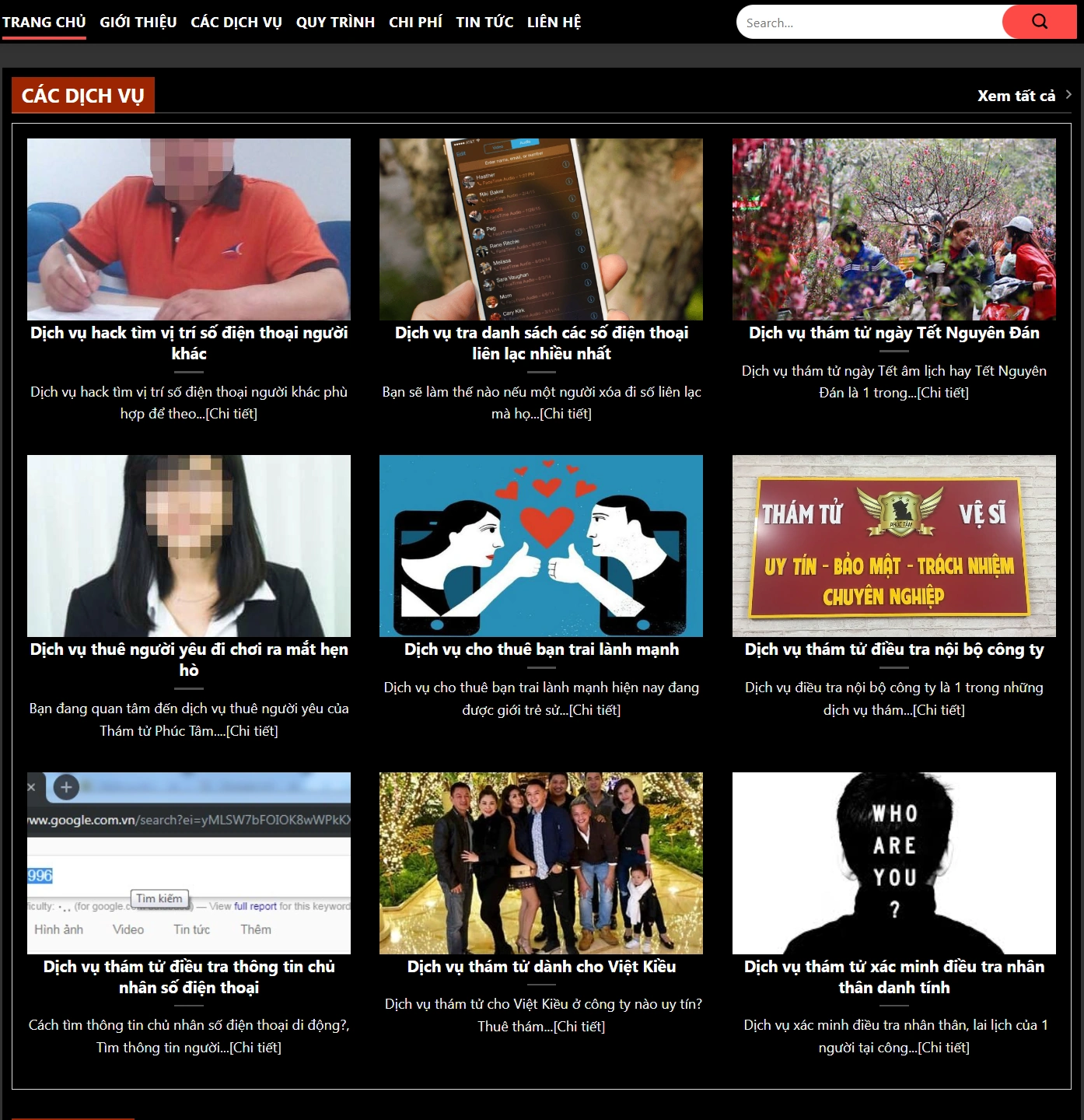 Mẫu Giao Diện Website Dịch Vụ Thám Tử - ảnh 2