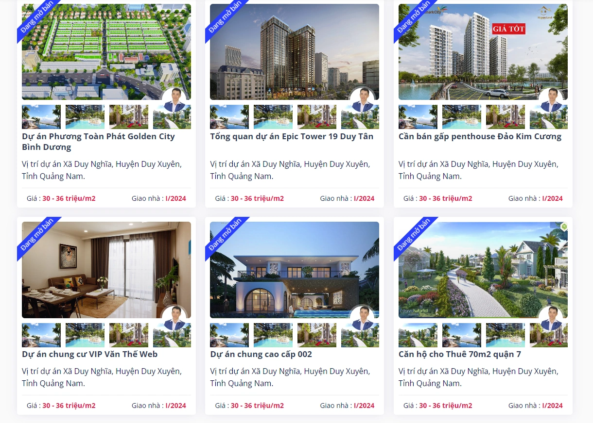 Mẫu Website Bất Động Sản Dự Án Văn Thế Web - ảnh 3