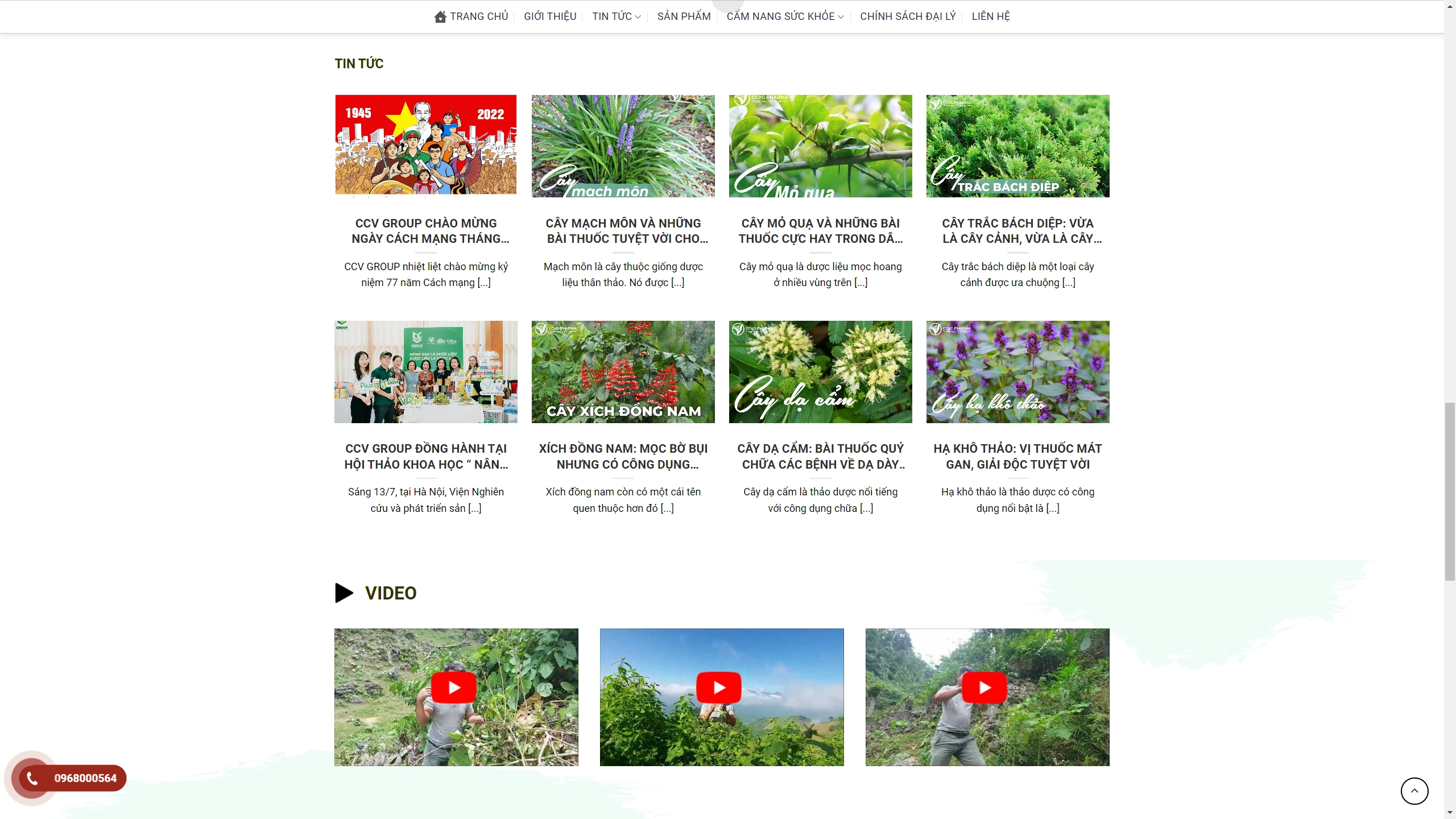 Mẫu Giao Diện Website Thực Phẩm Chức Năng - ảnh 3